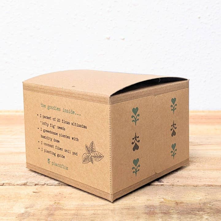 Plantflix - Wholesale Plant Seeds - Houseplant Seed Kit 21