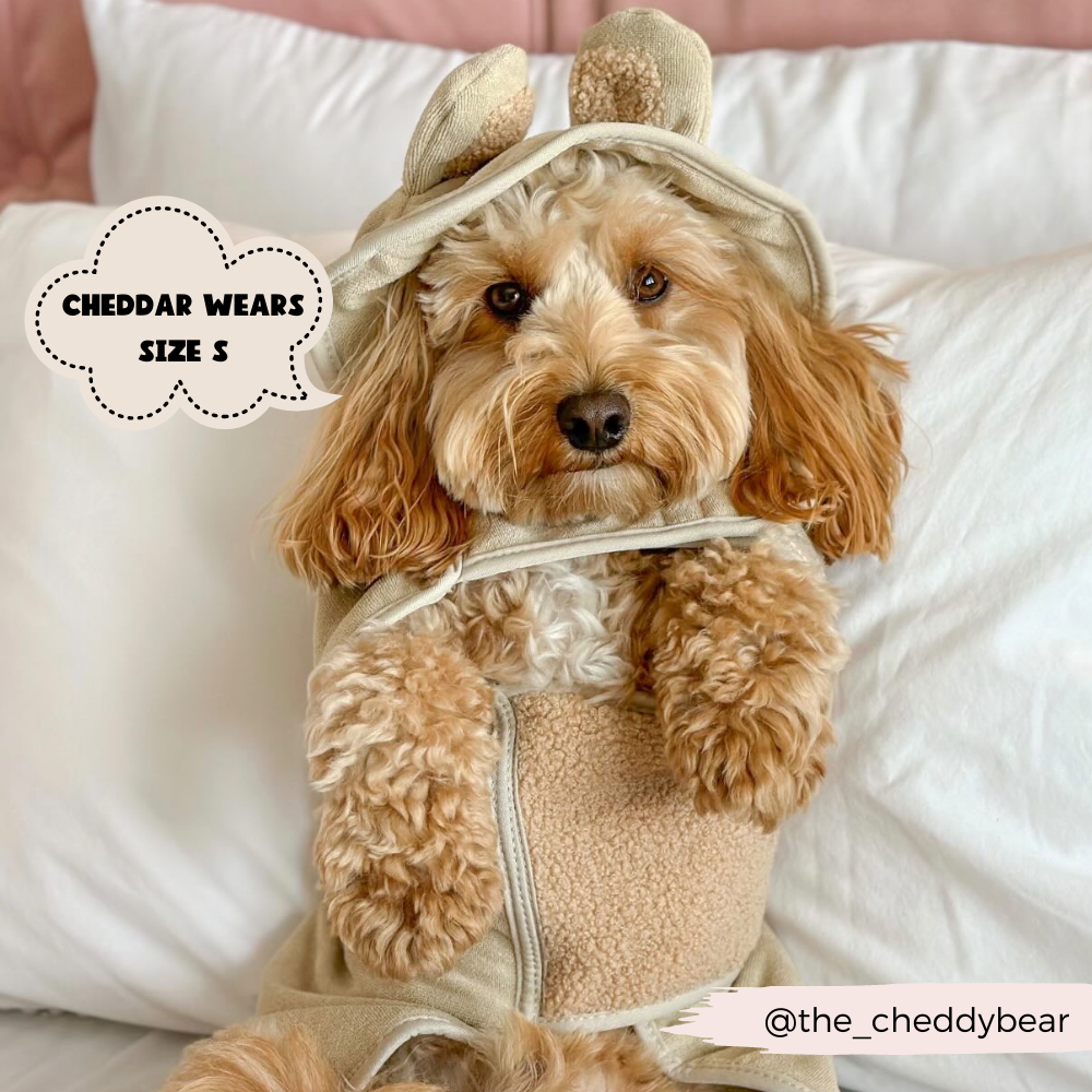 Cocopup London - Wholesale Pet Towel - Dog - Teddy Drying Robe7