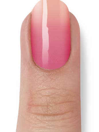 Snoepwinkel voor wholesale door Miss Sophie