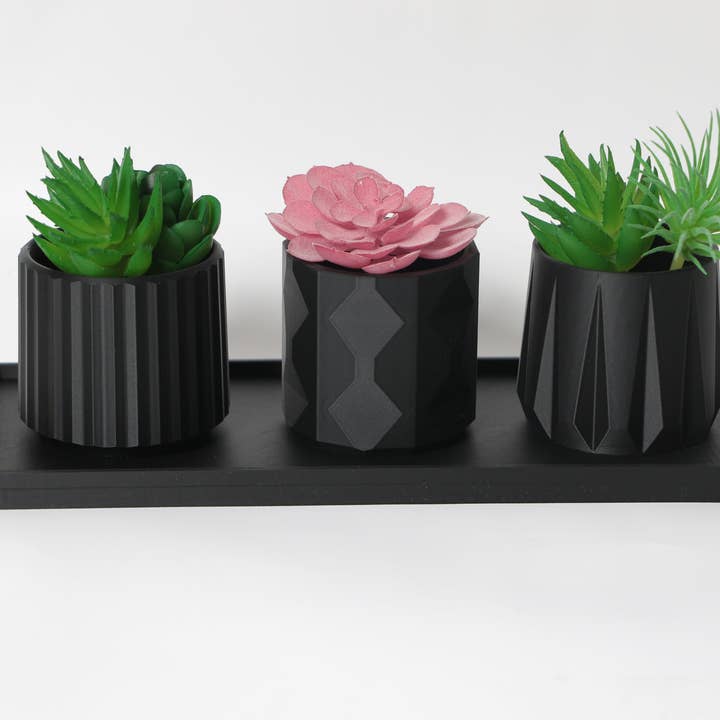 "Horizon" Succulent Planter - ConceptEarth for wholesale by ConceptEarth
