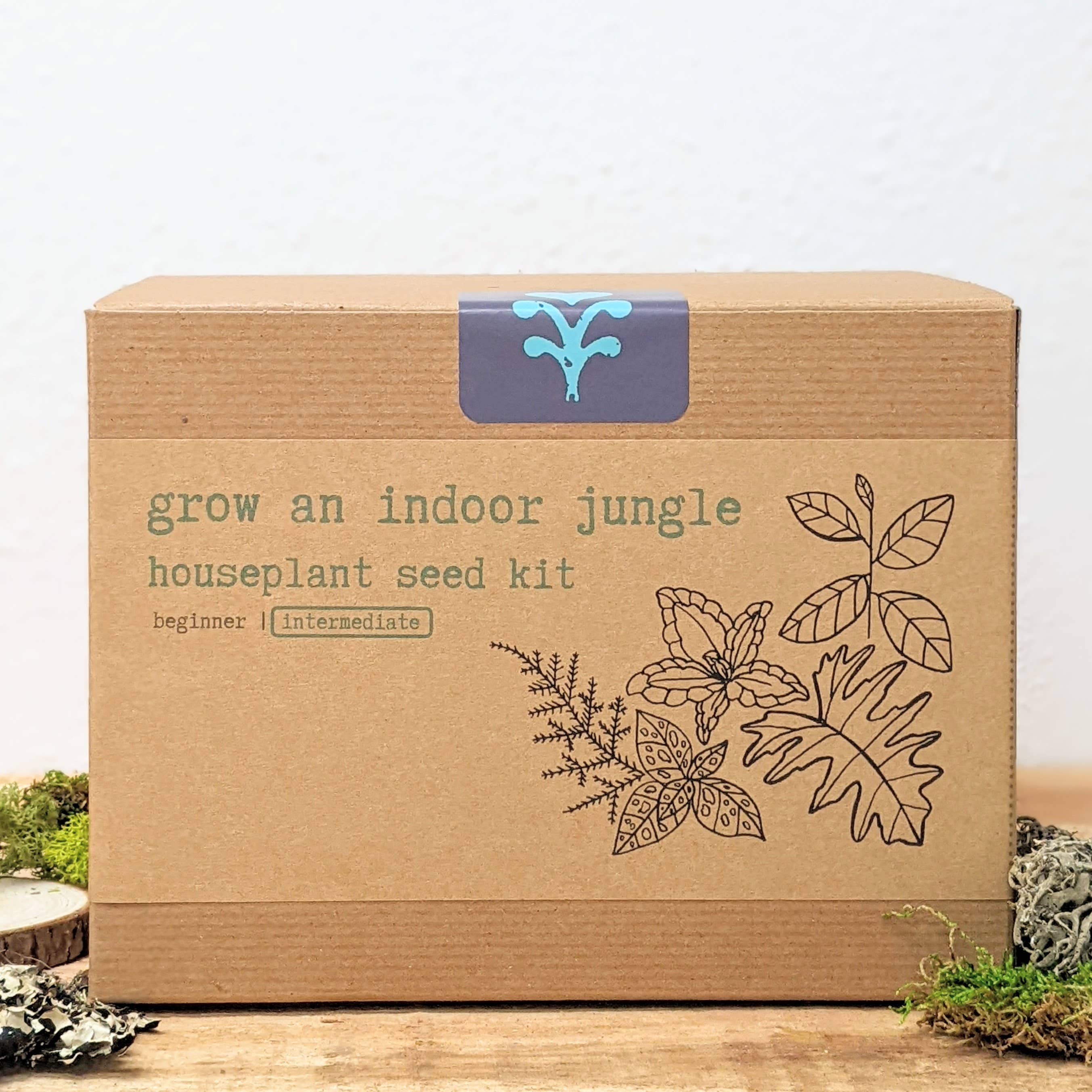 Plantflix - Vente Graines de plantes - Kit de graines pour plantes d'intérieur « Grow an Indoor Jungle »4