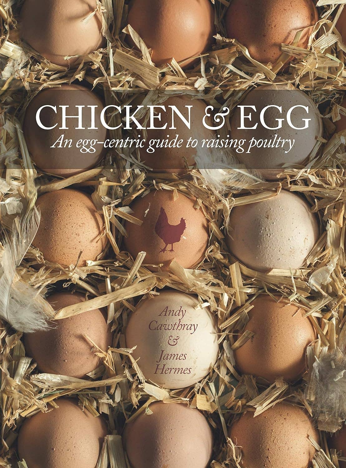 Fox Chapel Publishing – Großhandel Haustiere – Chicken & Egg — Hühner züchten, um die Eier zu bekommen, die du willst0