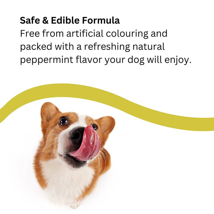 Natures Greatest Secret – wholesale Pet toothpaste – Dog – NEW All Natural Antibacterial Botanical Toothpaste for Dogs4