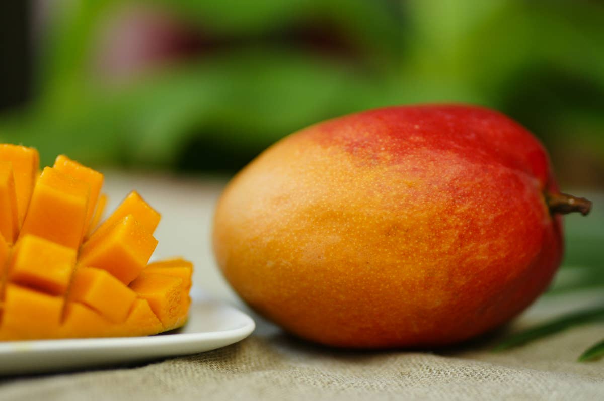 La Cour d'Orgères - Vente Confiture/gelée - Confiture de Mangue 250g2