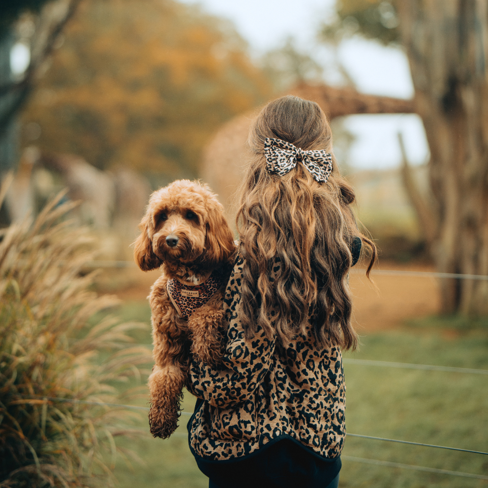 Cocopup London - Wholesale Pet Harness - Dog - Quilted Leopard Pup Adjustable Neck Harness46