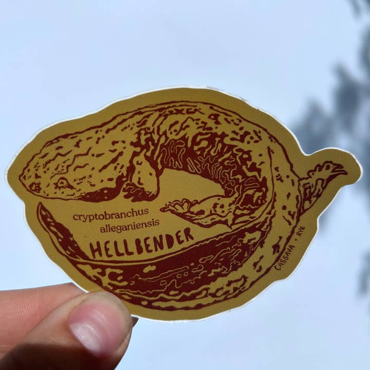 Cassava & Rye - Wholesale Sticker - Hellbender Salamander Sticker2