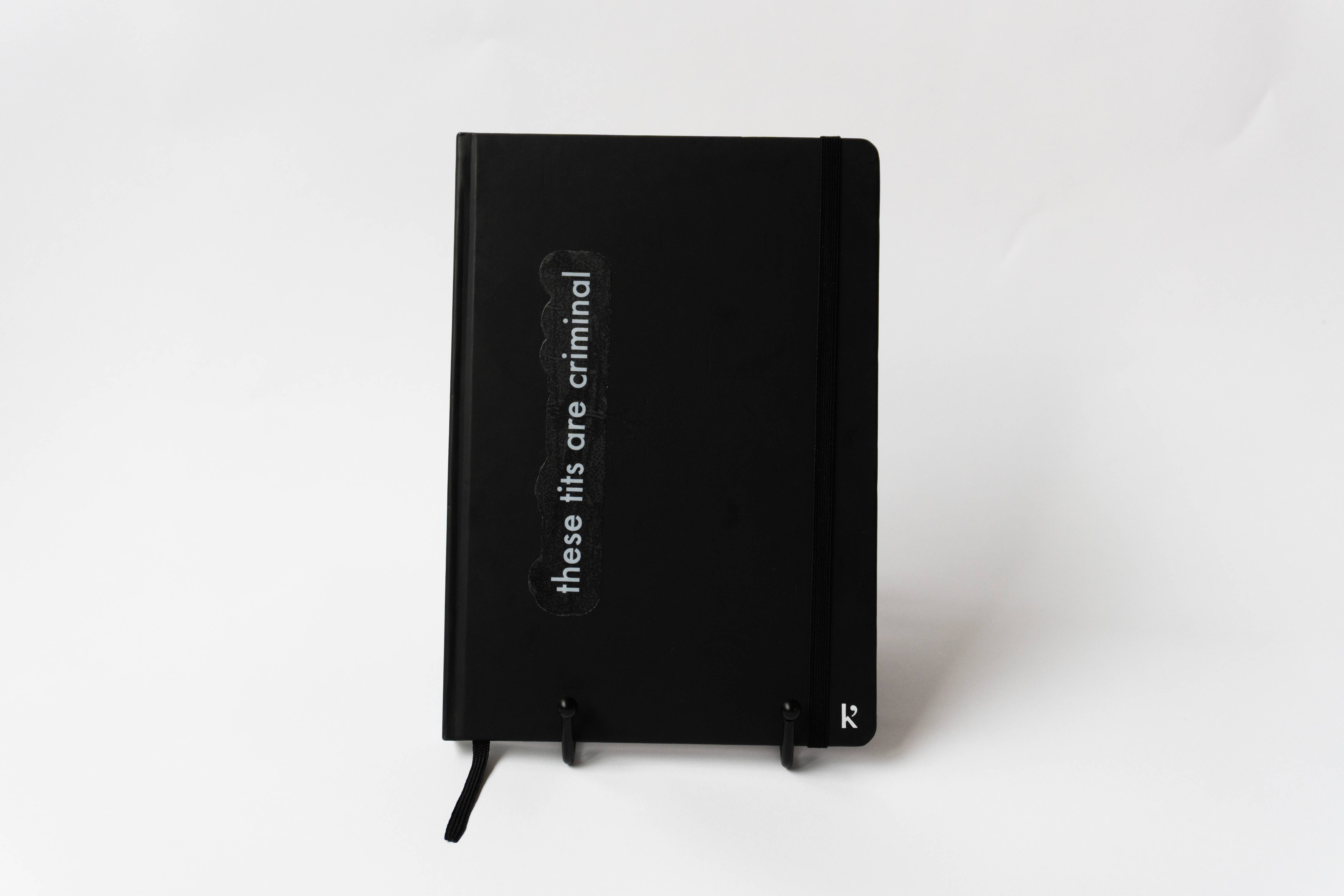 Briget Heidmous – wholesale Phone & laptop stickers – These Tits Are Criminal, Clear Vinyl White Writing0