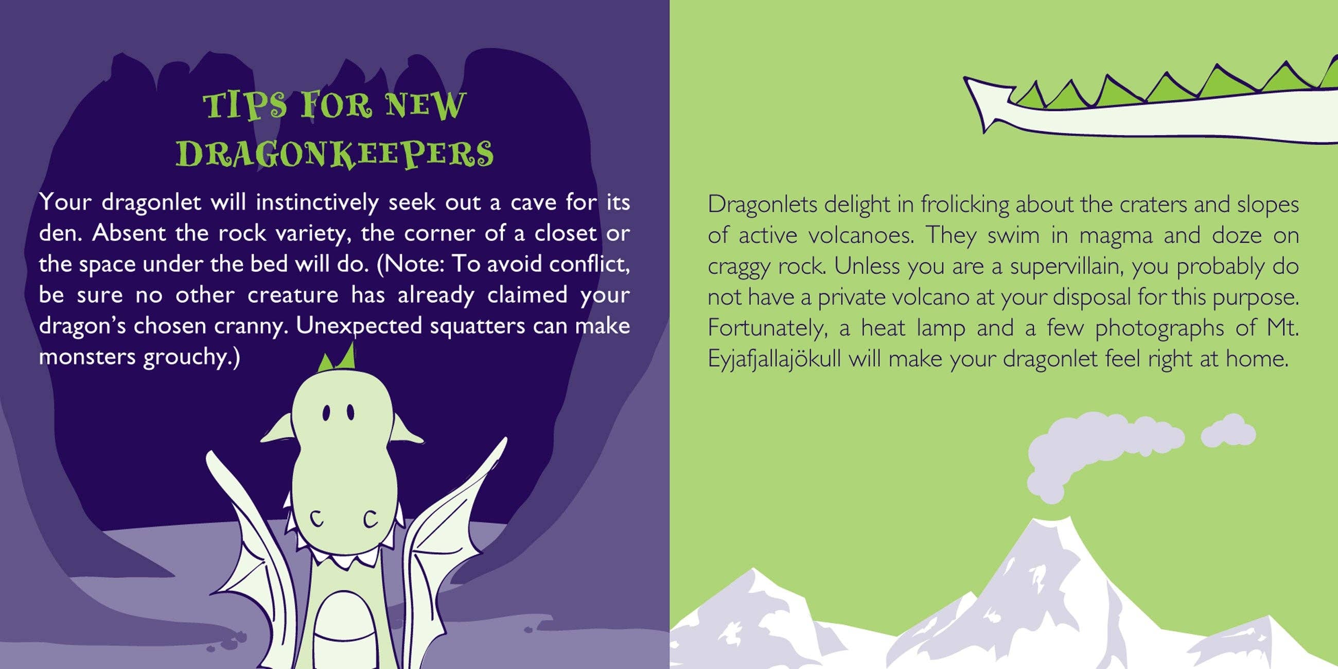 Peter Pauper Press - Wholesale Stuffed/Plush Toy - Kids & Baby - Dragon Rescue Kit4