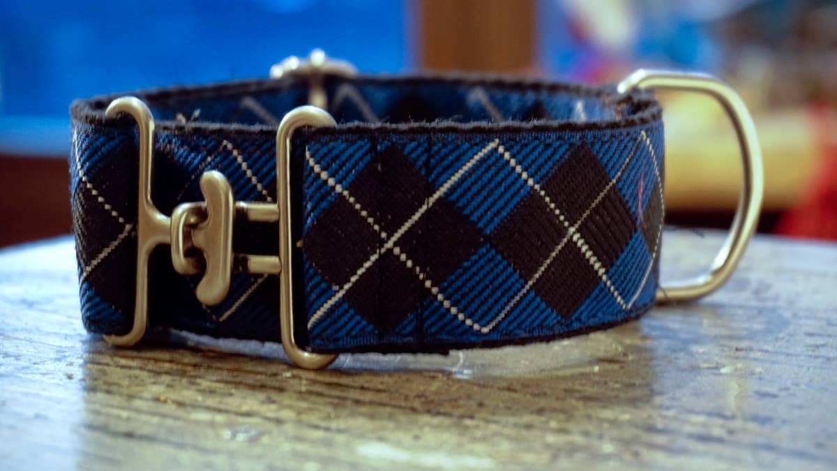 hundsfutter – wholesale Halsband - Hund – Brett hundhalsband i vattenavvisande nylon1