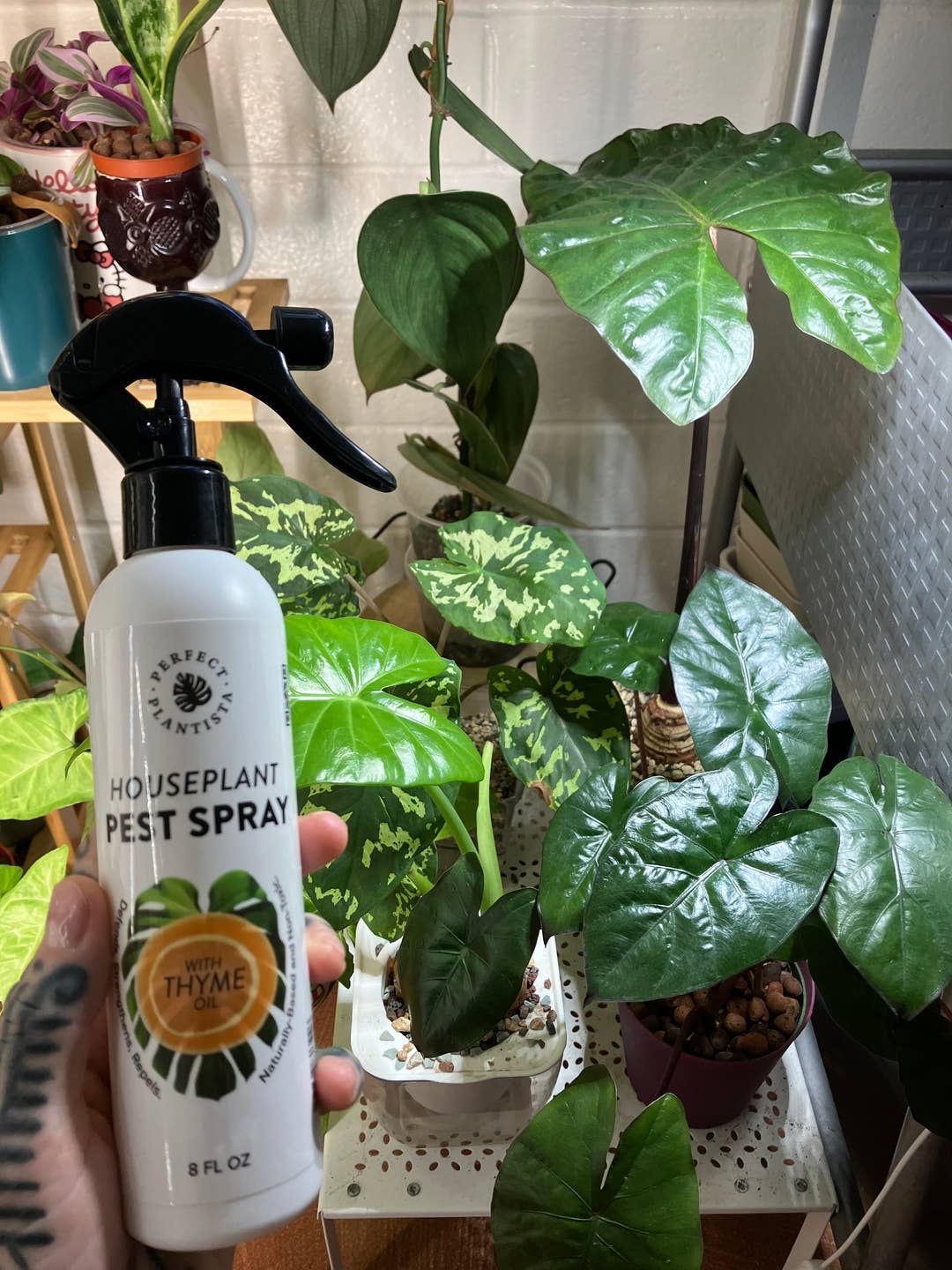 Perfect Plantista - Wholesale Insect repellent - Natural + Non-Toxic Houseplant Pest Spray4