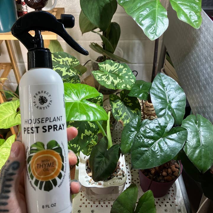 Perfect Plantista - Wholesale Insect Repellent - Natural + Non-Toxic Houseplant Pest Spray4