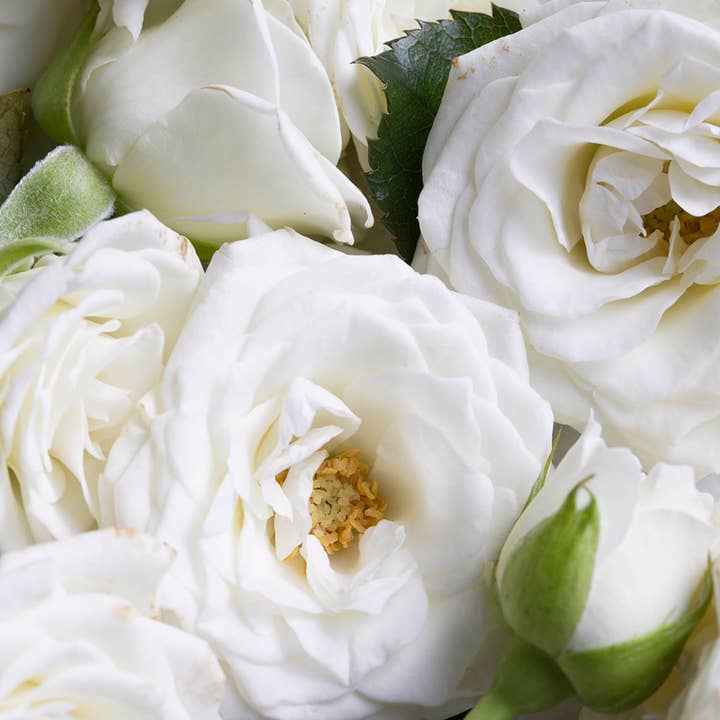 KORRES USA LTD - Wholesale Body Cream/Lotion - Body Smoothing Milk White Blossom3