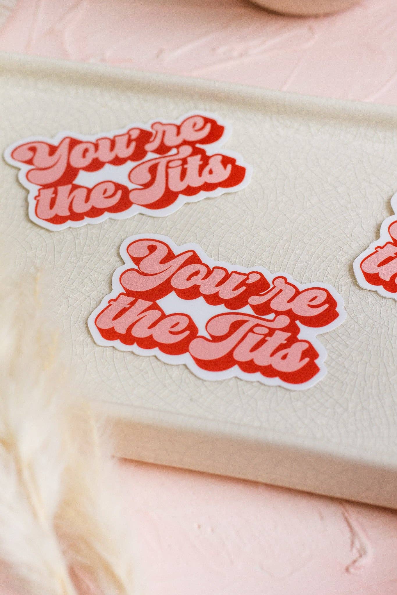 The Print Pantry - Wholesale Sticker - You're The Tits Sticker7