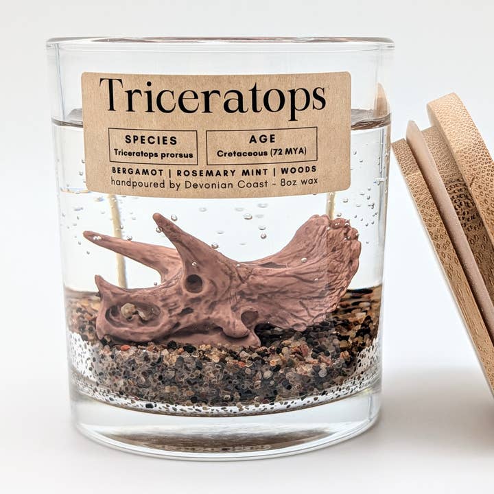 Triceratops Dinosaur Clear Gel Candle for wholesale by Devonian Coast