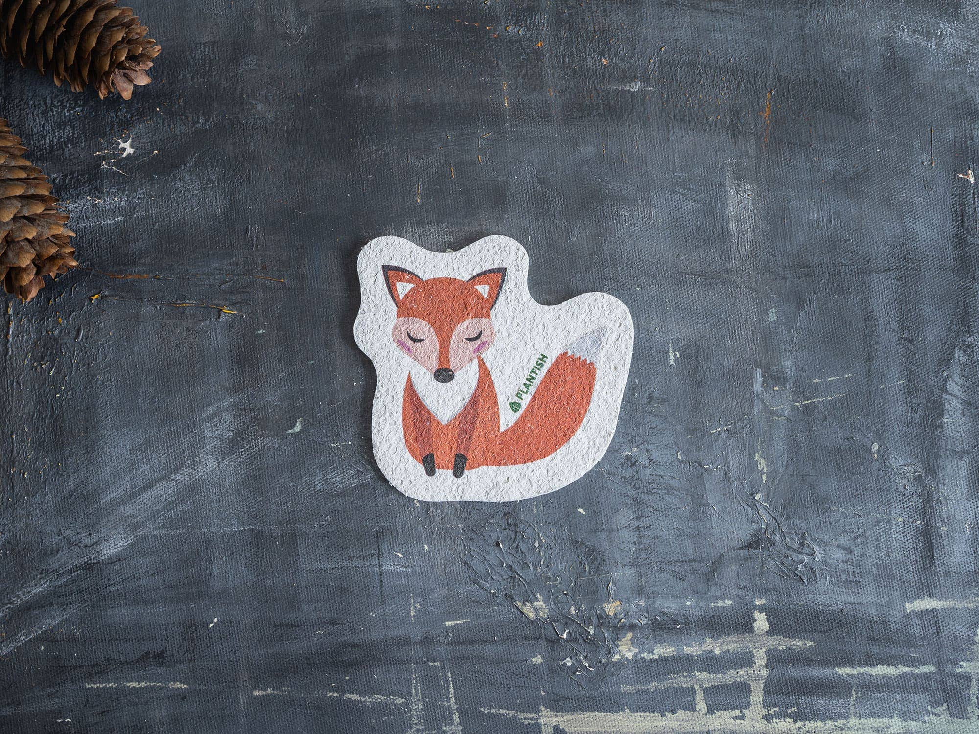 Plantish - Wholesale Cleaning Sponge - Set of 3 Barks and Roars Pop up Sponges3