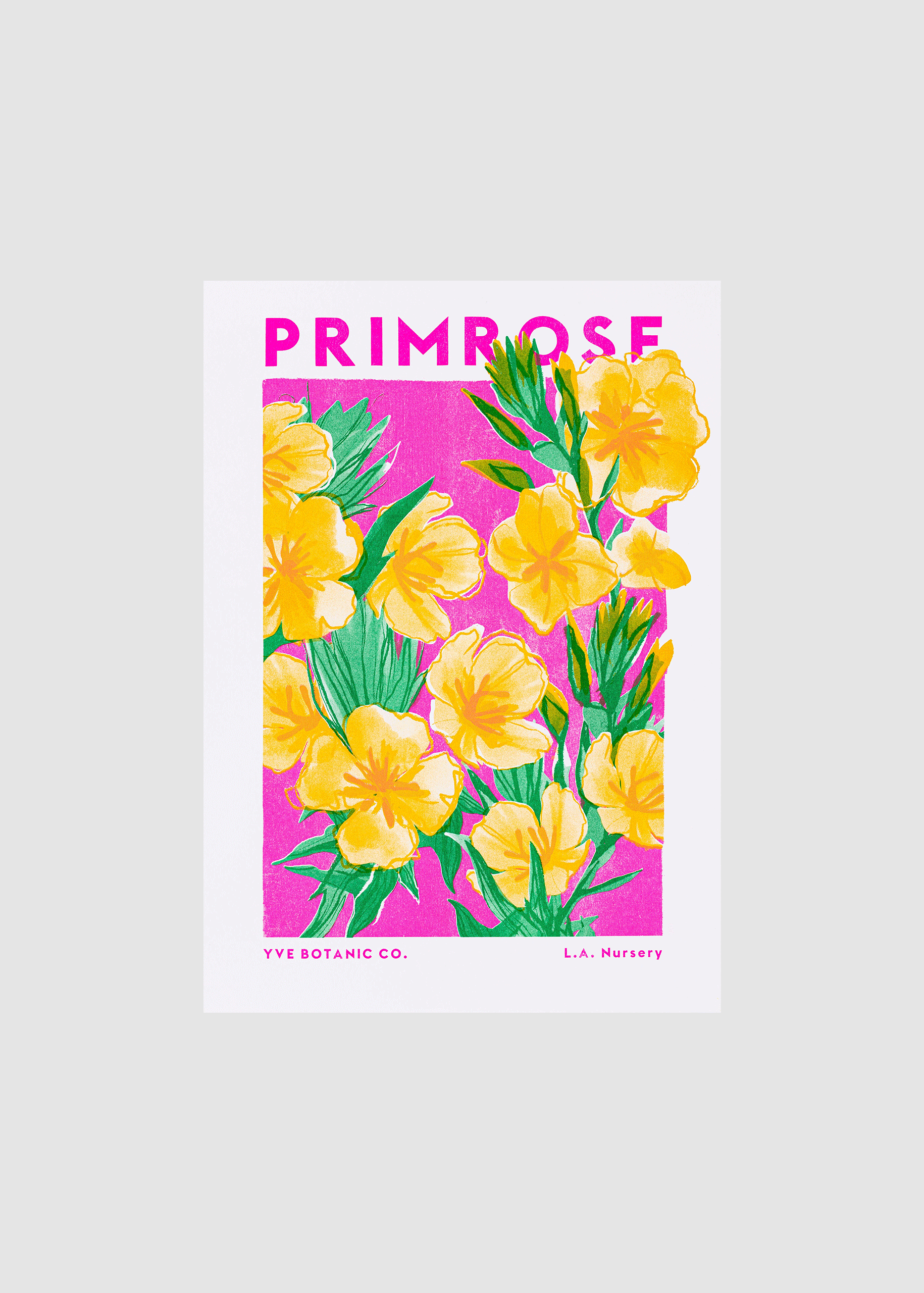 Eve Print Studio. - Vendita all'ingrosso Stampa artistica - Stampa Risograph a 3 strati del fiore di Primula1
