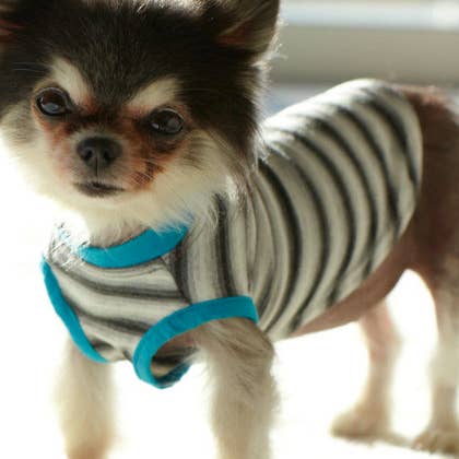 Lou Lou Sleeveless Tee in Grey Stripe with Turquoise trim for wholesale by Bone Vivant