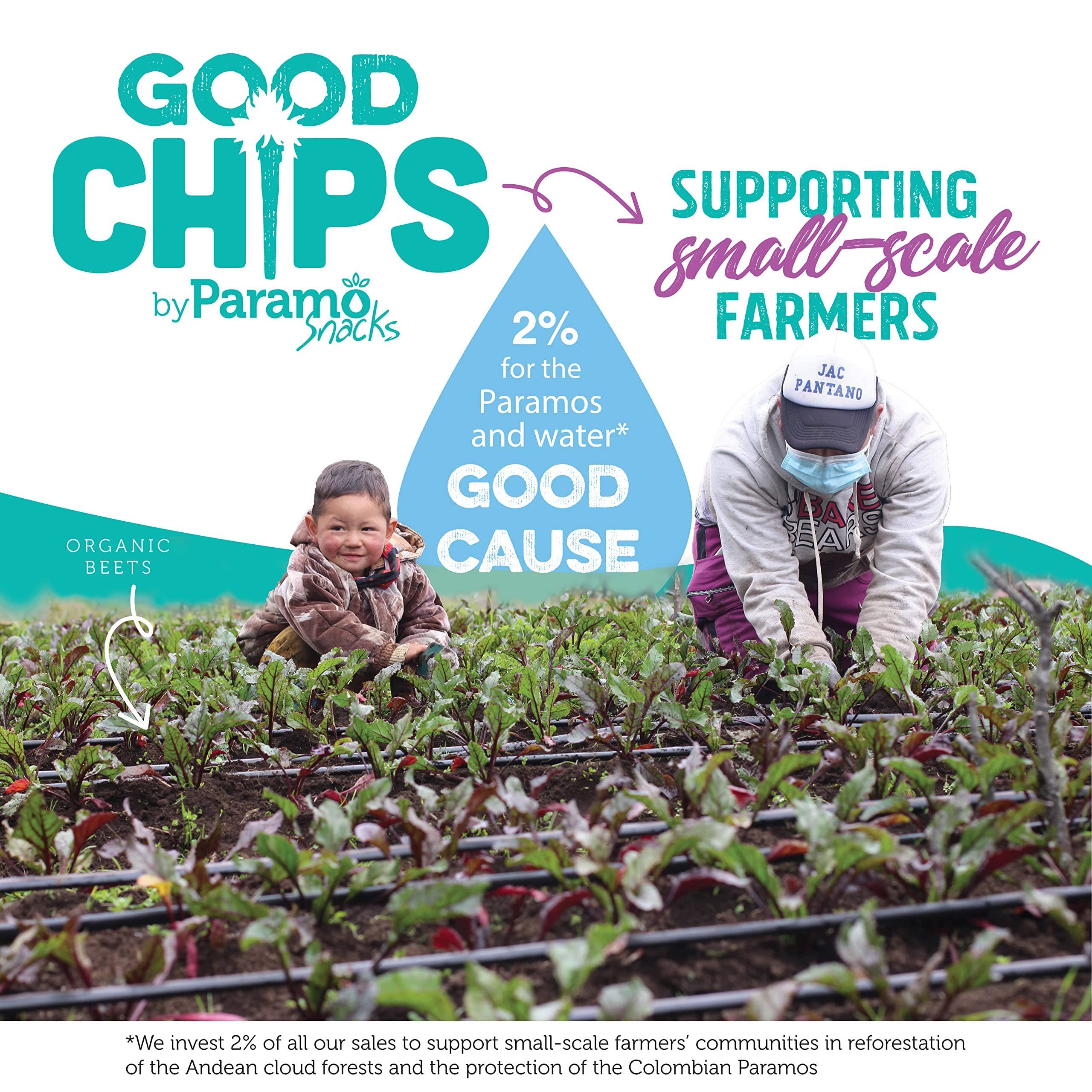 GOOD CHIPS by Paramo Snacks - Wholesale Chips - 12 count Baked Organic Beet and Yacon Chips - 0.7oz bags6