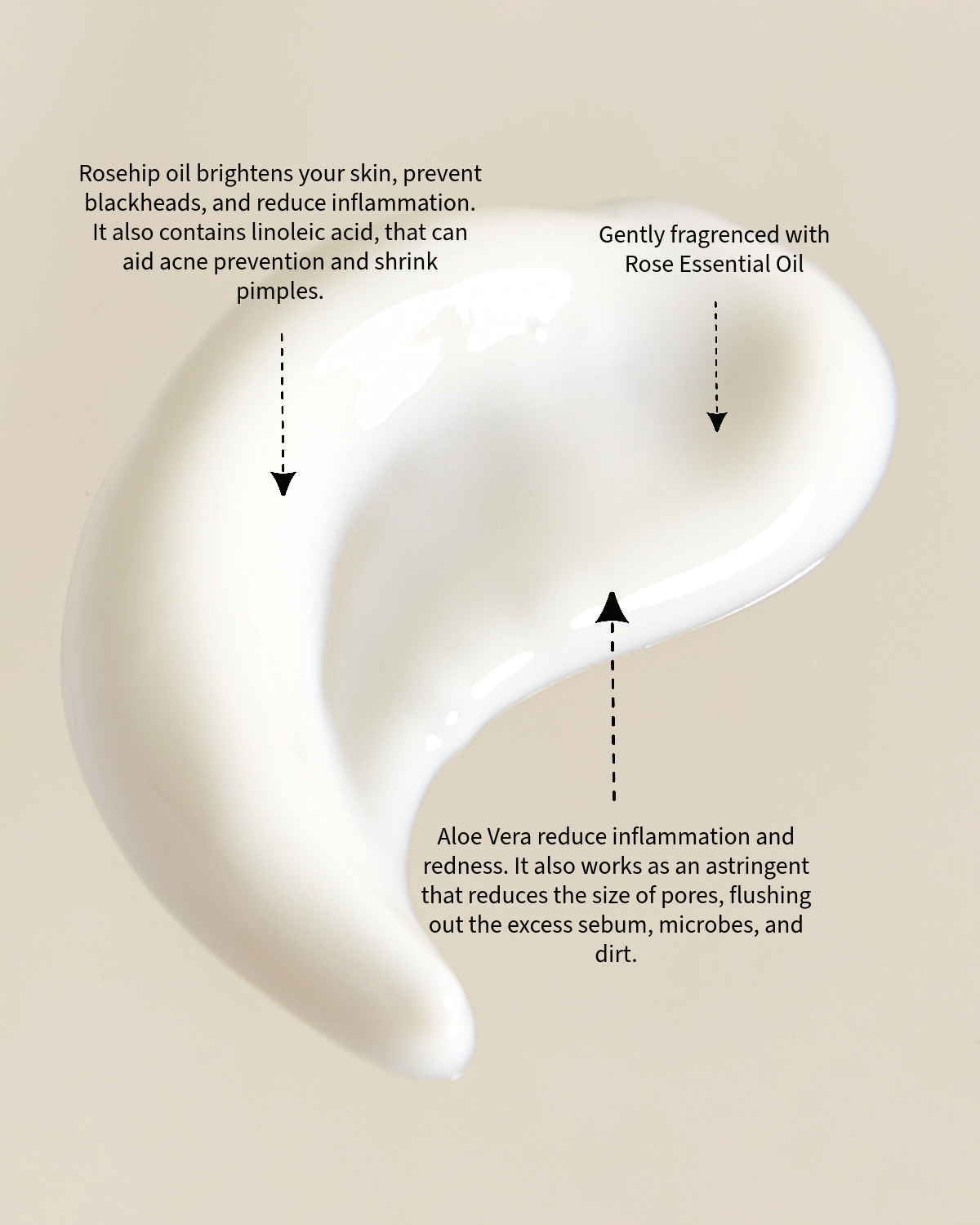 Sknfed – wholesale Facial moisturiser – FACE MOISTURISER ROSE - - MINIS & TRAVEL2