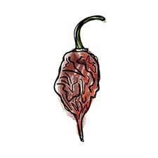 Welshhomestead Smokery – Geleia por atacado – Compota de Malagueta Fumada Carolina Reaper2