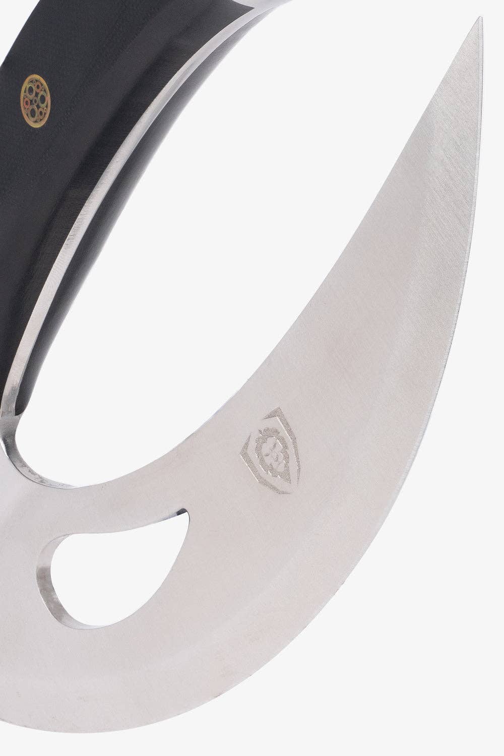 Dalstrong - Wholesale Kitchen/Utility Knife - Ulu Knife 6.5" | Shogun Series ELITE | Dalstrong ©3