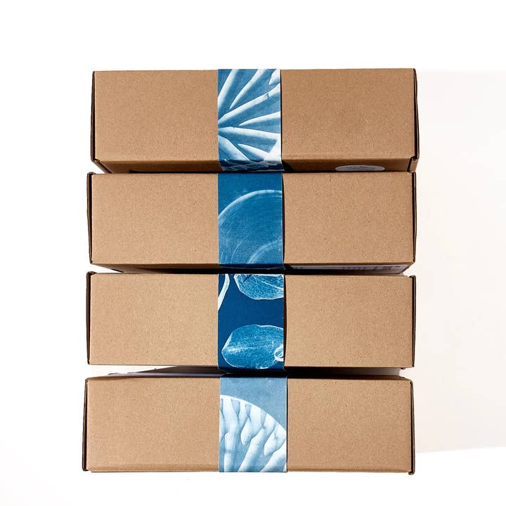 NOUVEL ÉTÉ - Wholesale DIY Craft Kit - Cyanotype DIY kit6