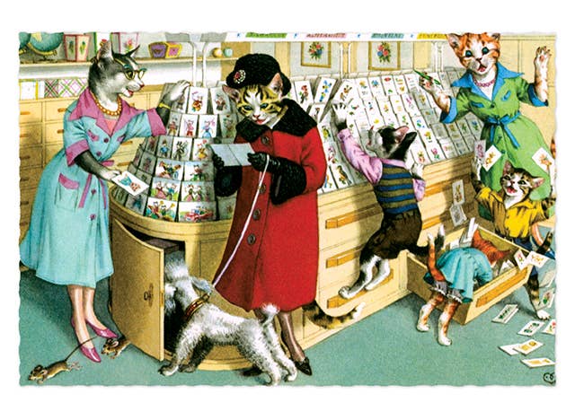 Laughing Elephant - Wholesale Postcard - Delightfully Dressed Cats - Everyday Boxed Postcards26