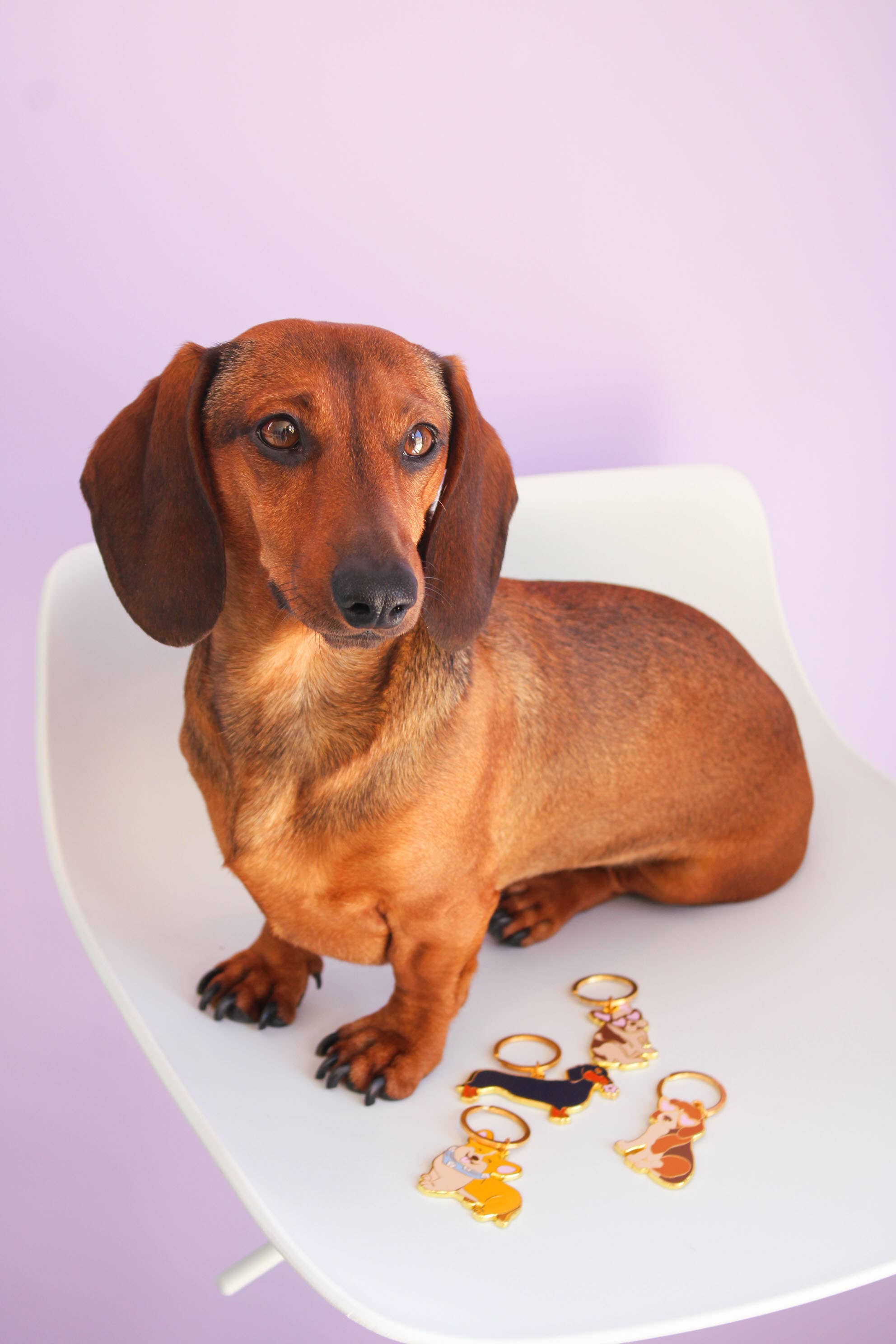 MALICIEUSE – Großhandel Schlüsselanhänger – Damen – Dackel-Schlüsselanhänger4