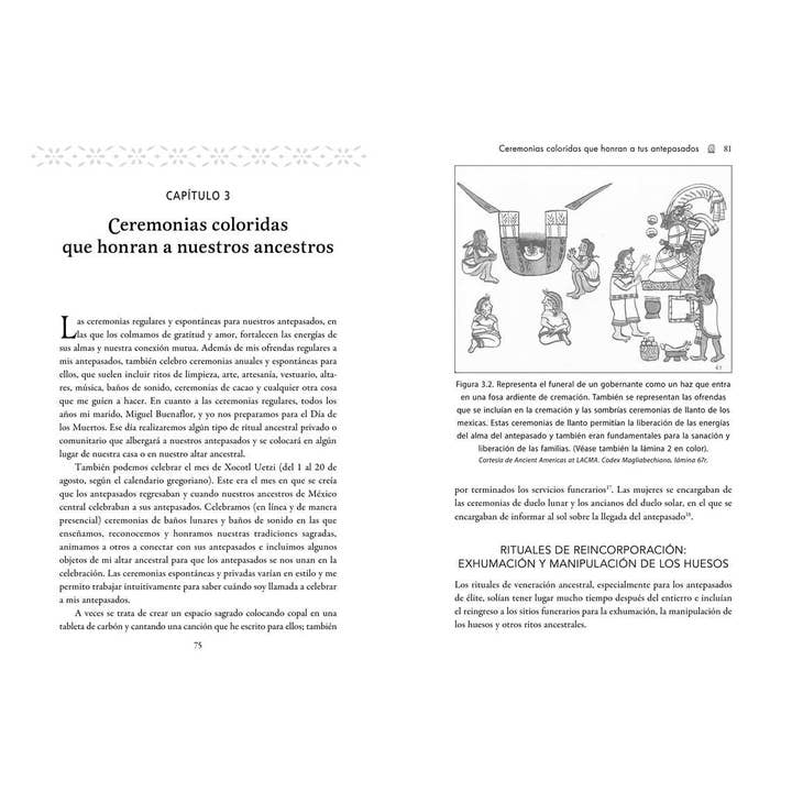 Simon & Schuster - Wholesale Body, Mind & Spirit - Ritos de veneración del curanderismo by Erika Buenaflor2