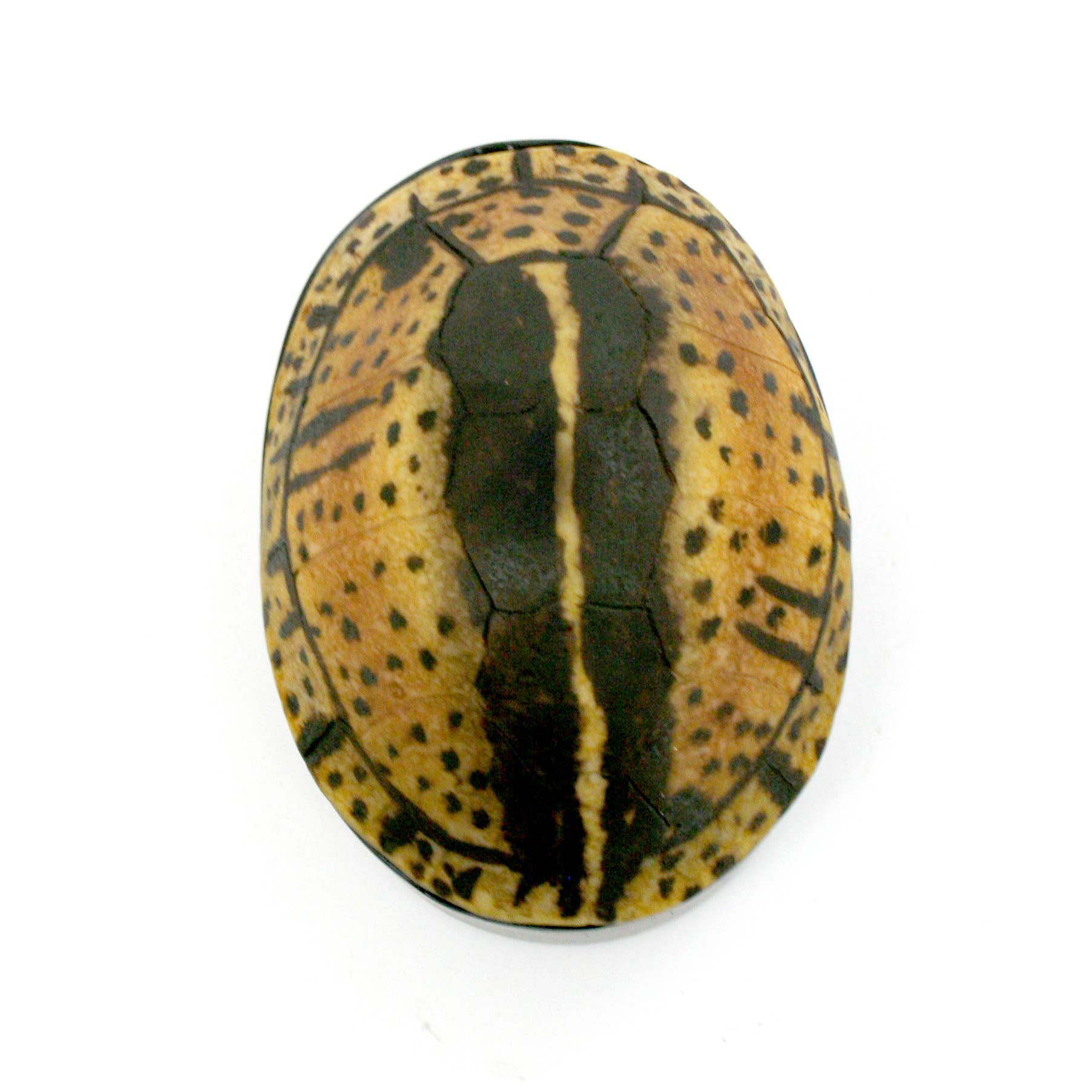 Modern World by Contrast Inc. - Wholesale Decorative Box - Yellow Black Turtle Shell Box3