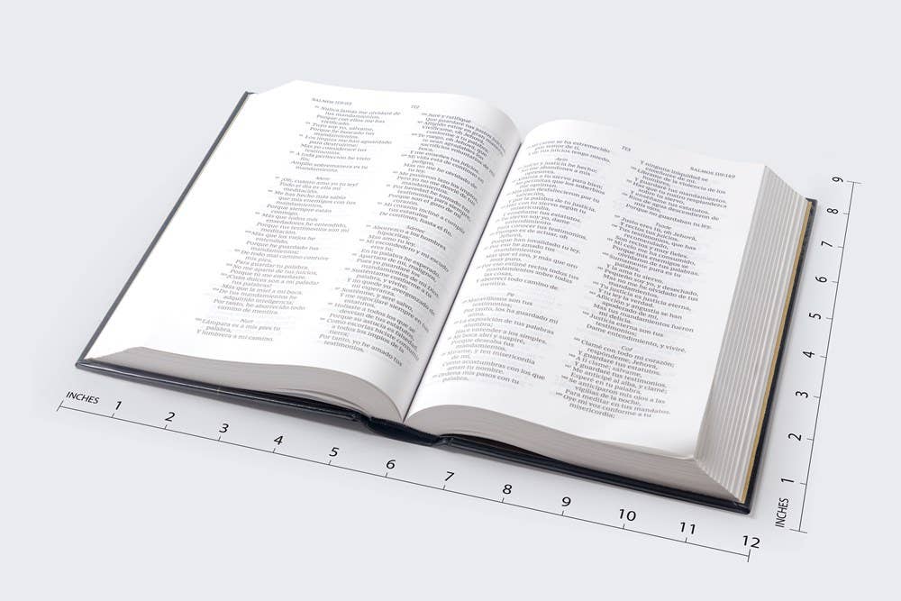 HarperCollins Christian Publishing - Wholesale Religion - RVR60, Santa Biblia, Premio y Regalo, Letra grande, Tapa dur7