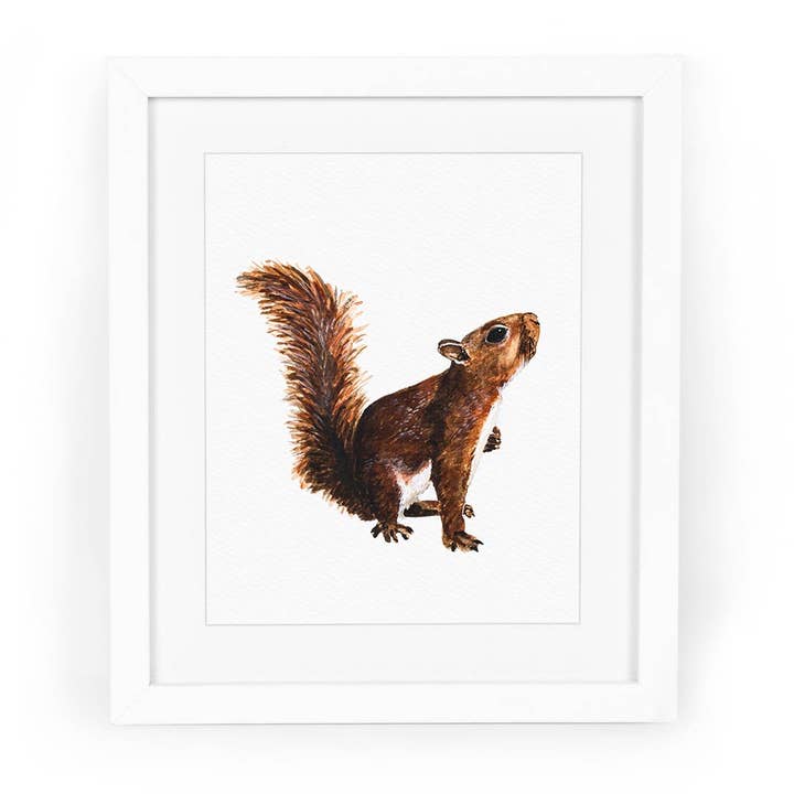 Squirrel Watercolor Fine Art Giclee Print for wholesale by CharmCat