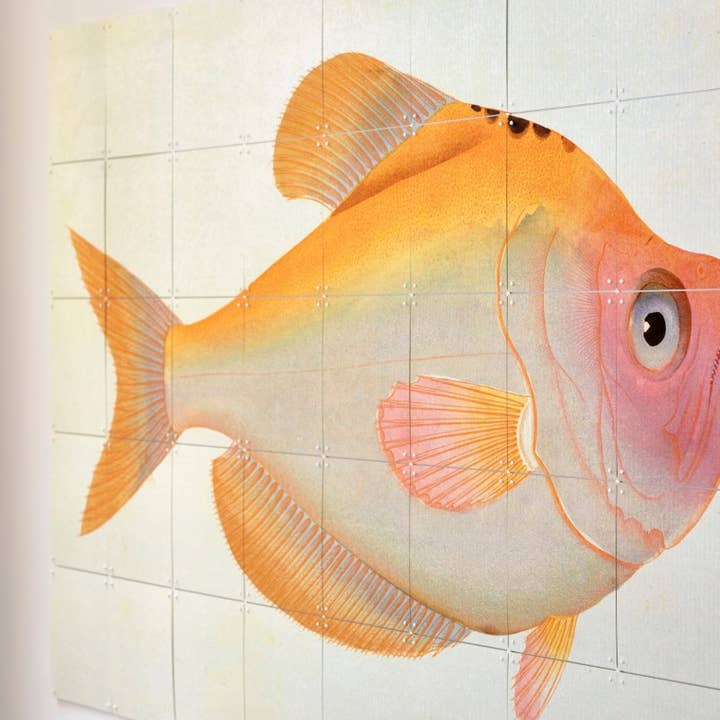 Yellow Fish for wholesale by IXXI Concepts