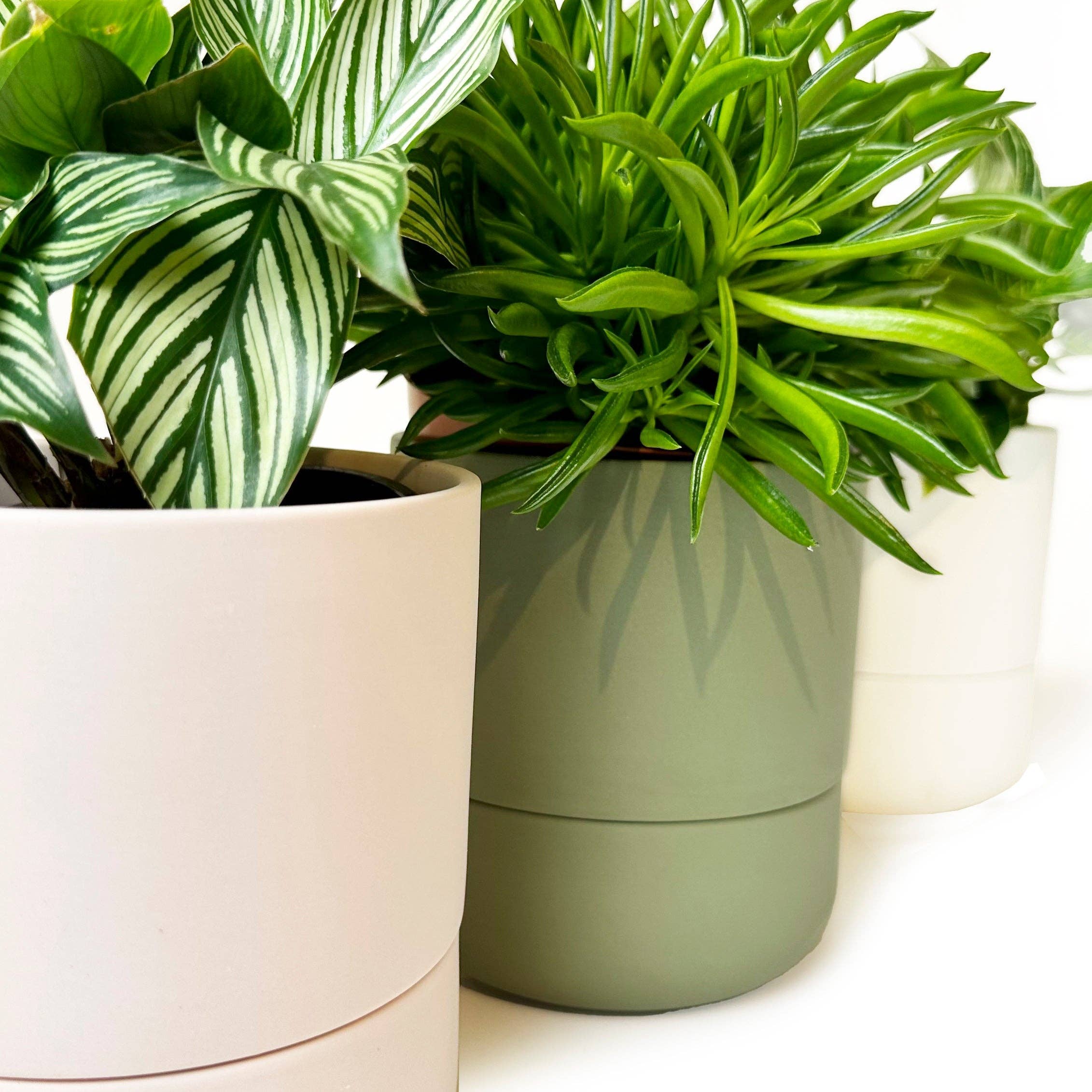 Chive Canada - Wholesale Plant Pot - Ryan Self-Watering Plant Pots Indoor Planters3