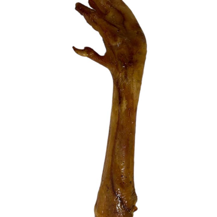 Turkey Feet Wholesale Pack for wholesale by Tasty Tails LLC