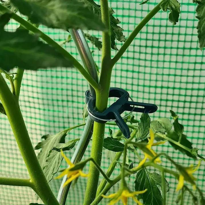 AJ TOYS & GAMES - Wholesale Garden Tool - IIT Plant & Garden Clips - 20ct3