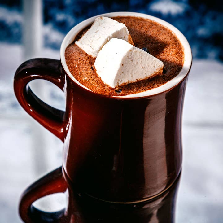 Raaka Chocolate - Wholesale Chocolademelk/cacaomix/kit - Bulk klassieke chocolademelk mix (1 kg zak)1