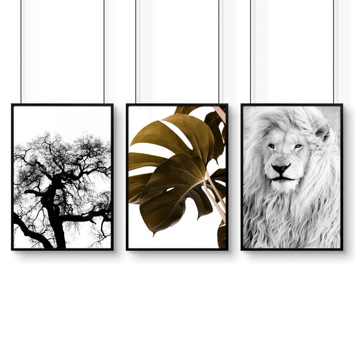 Wall Art Ideas For Living Room | Set of 3 African Wildlife Wall art Prints for wholesale by About Wall Art