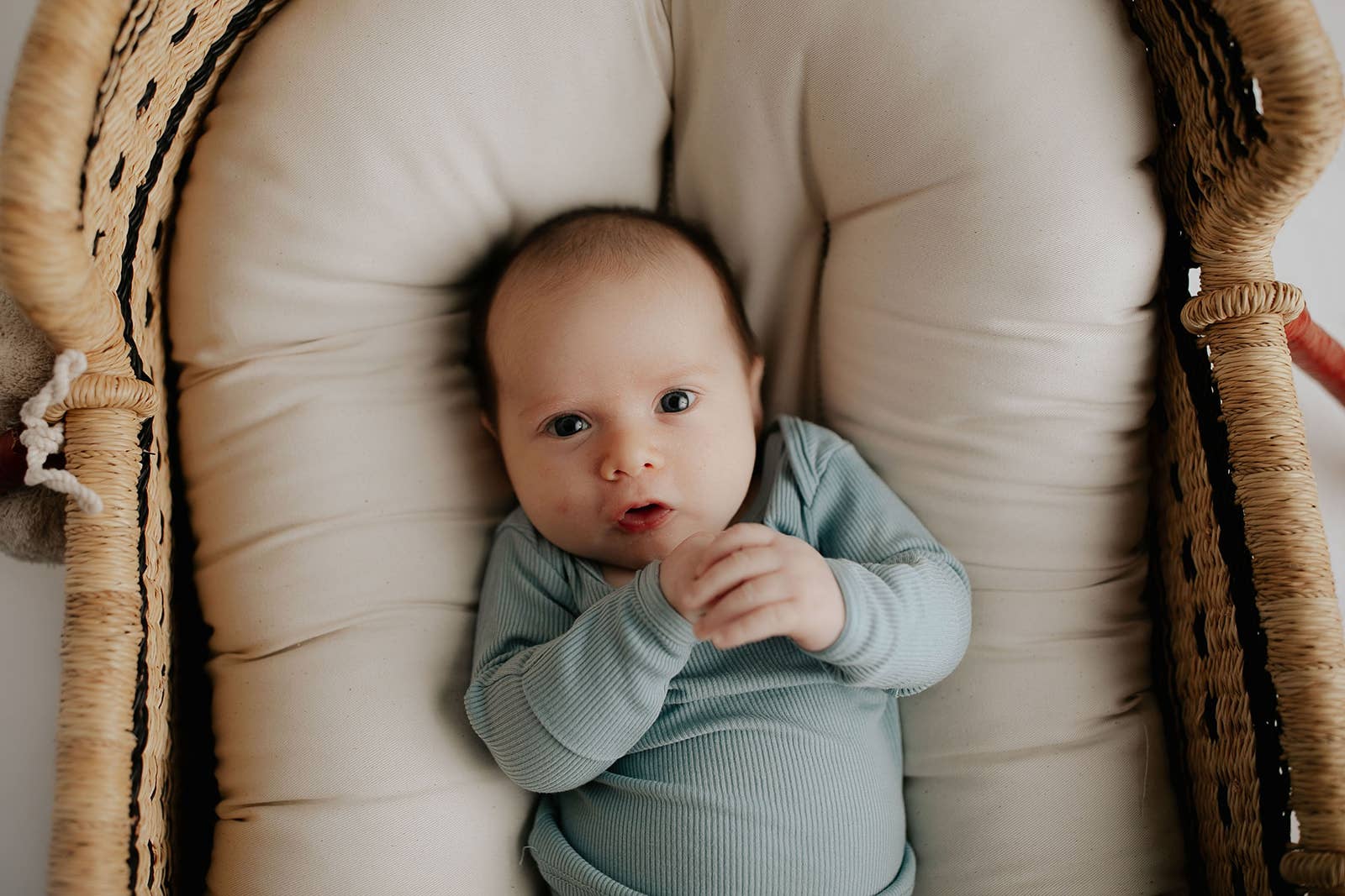 Three Little Tots – Conjunto de pijama - Crianças por atacado – Blue Bird Jammies Criança Pjs & Lougewear15