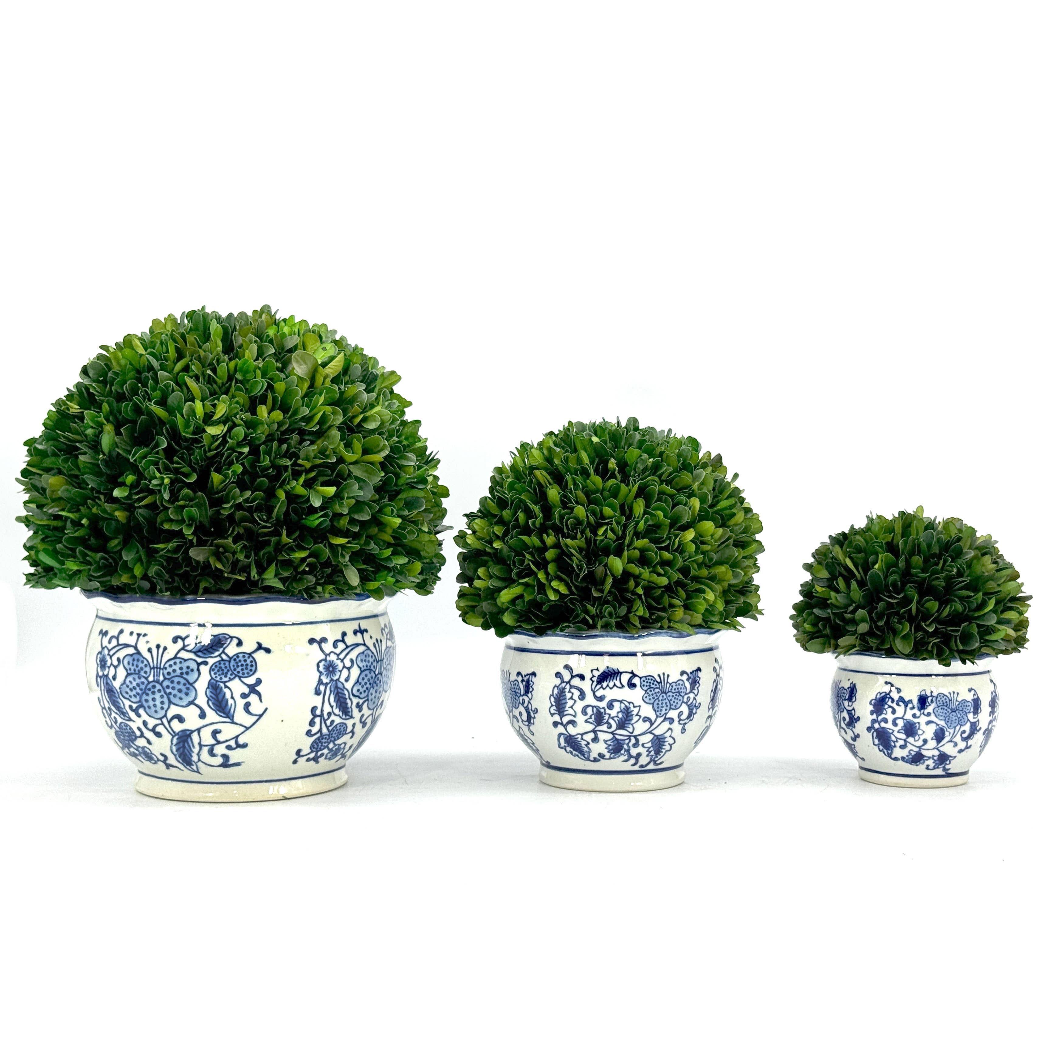 Galt International Company - Wholesale Kunstplant - Buxusbol-topiary in ronde blauw-witte keramische pot12