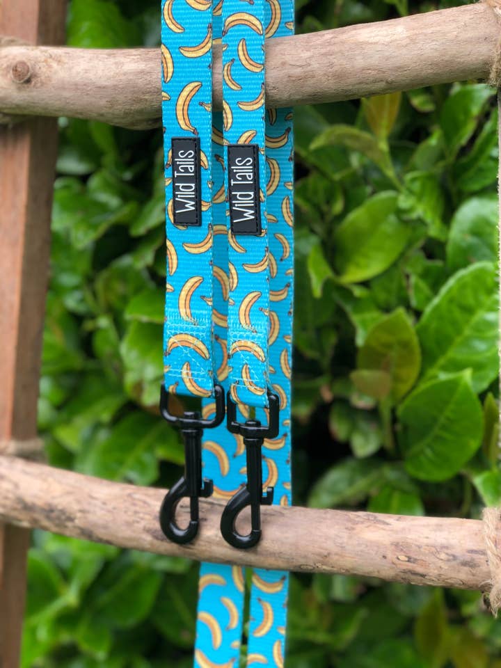 Laisse réglable Go Bananas pour la vente par Wild Tails Co
