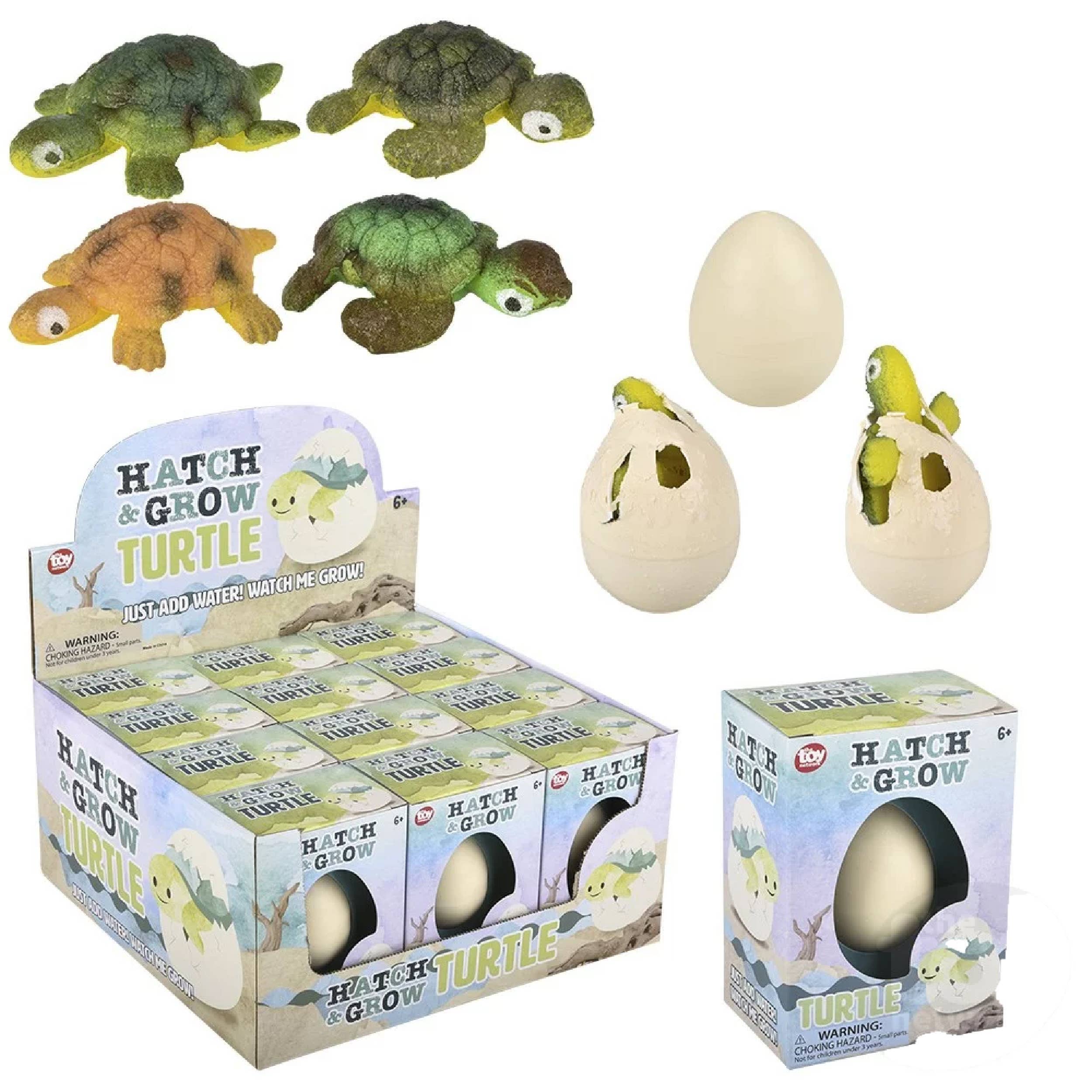 Buddha Yoga - Wholesale Classic Toy - Kids - Small Hatch And Grow Turtle Egg In Bulk0