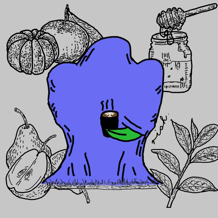 Guatemala La Hermosa Orange Gesha Washed for wholesale by rish coffee roasters