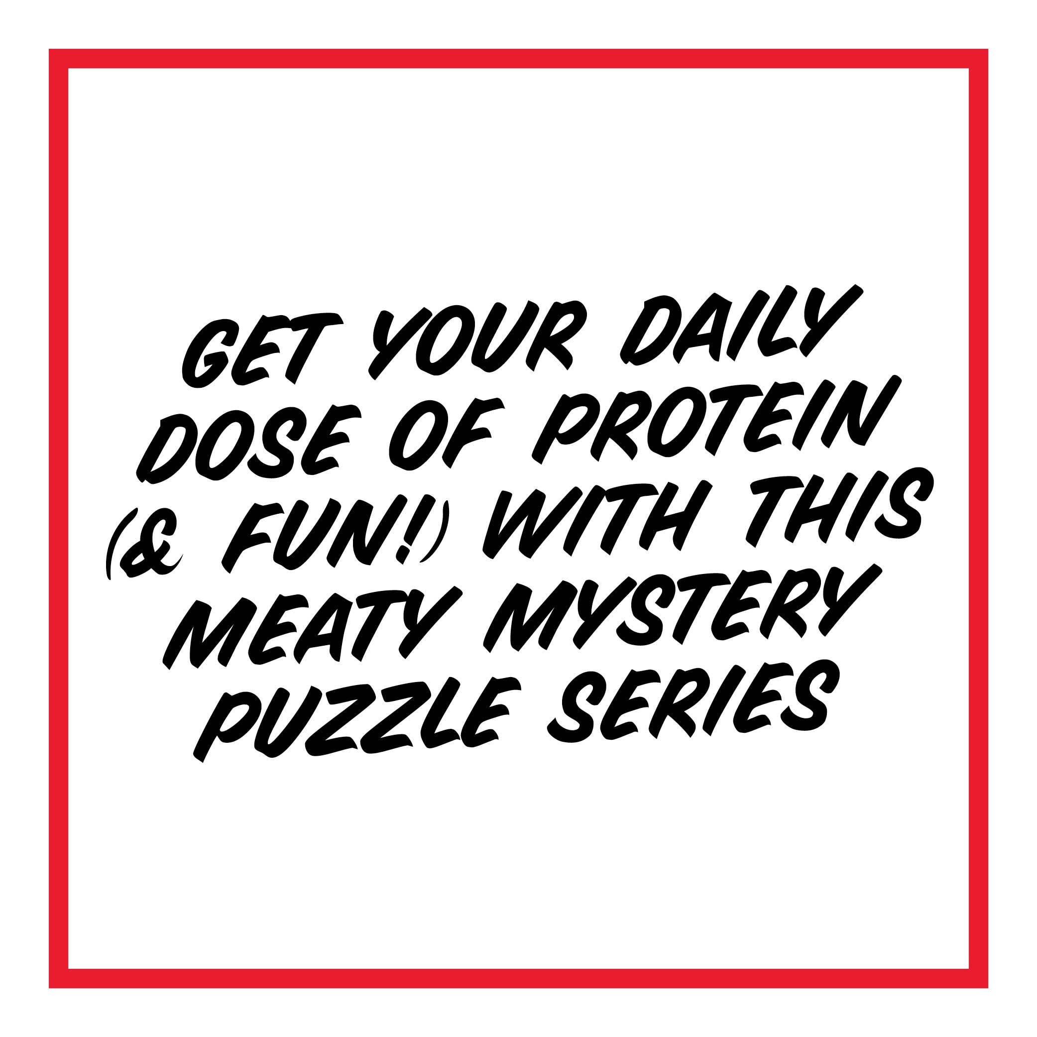 Chronicle Books - Wholesale Puzzle - Adult - Mystery Meat Mini Puzzle CDU of 125