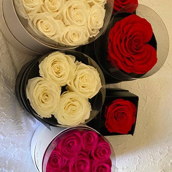 La Rose Preserved Beauty - Wholesale Dried/Pressed Flowers - 4 Preserved Roses Hat Box / Timeless Rose by La Rose