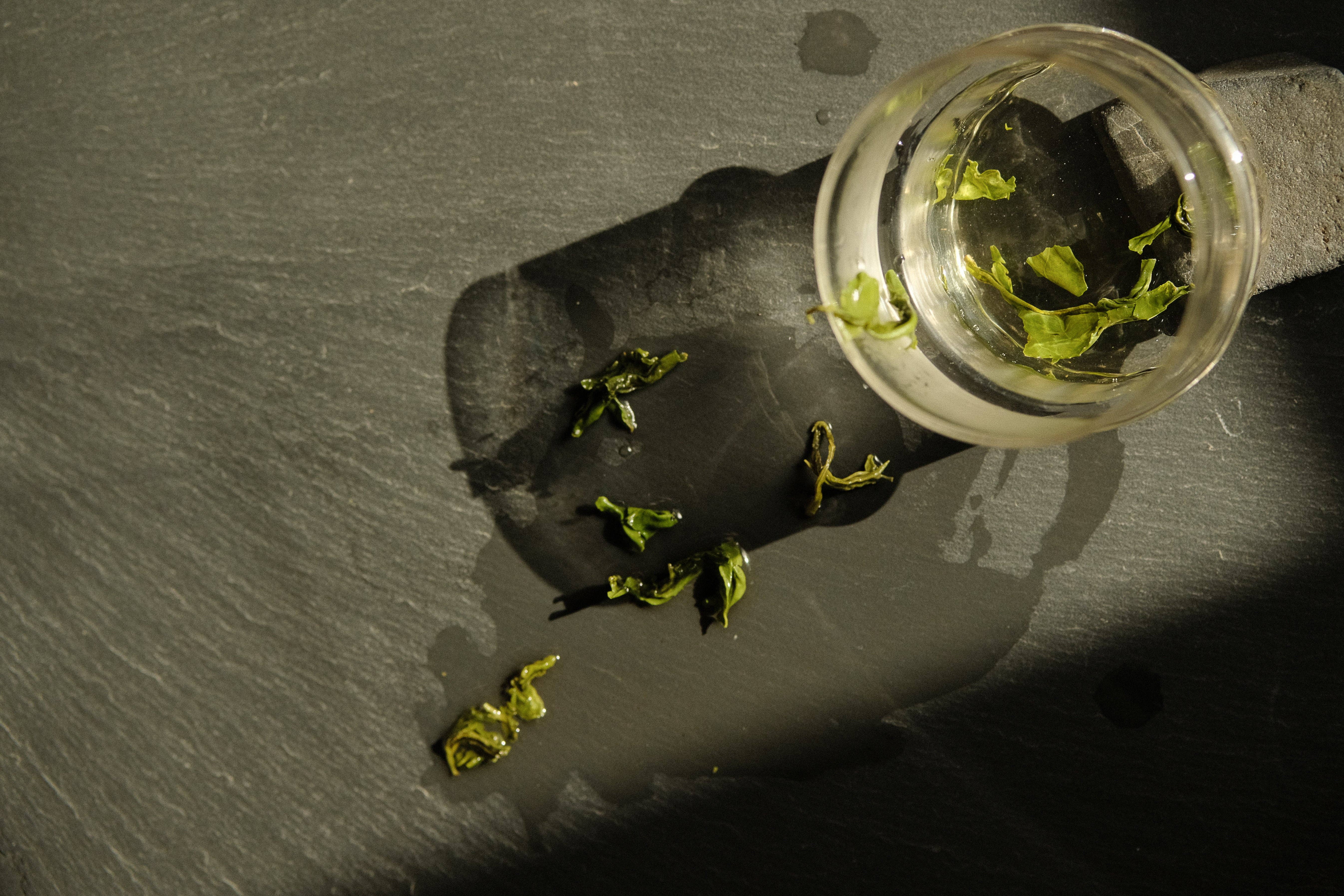 Leaves & Flowers - Wholesale Loose Tea - Jasmine Dew Wholesale2