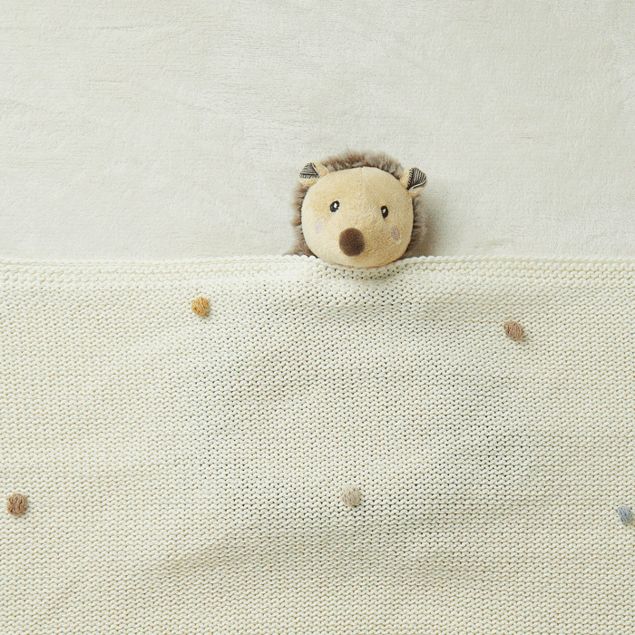 Bieco Spielwaren - Wholesale Stuffed/Plush Toy - Kids & Baby - Cuddle Cloth Hedgehog Piksi1