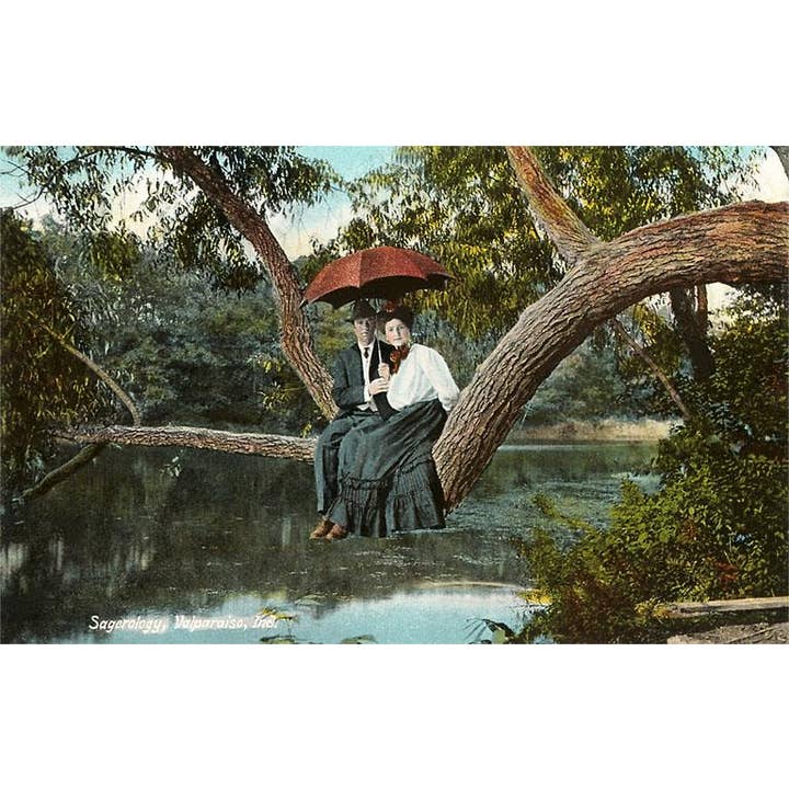 Greeting Card IN-131 Couple in Tree, Valparaiso for wholesale by Found Image Press