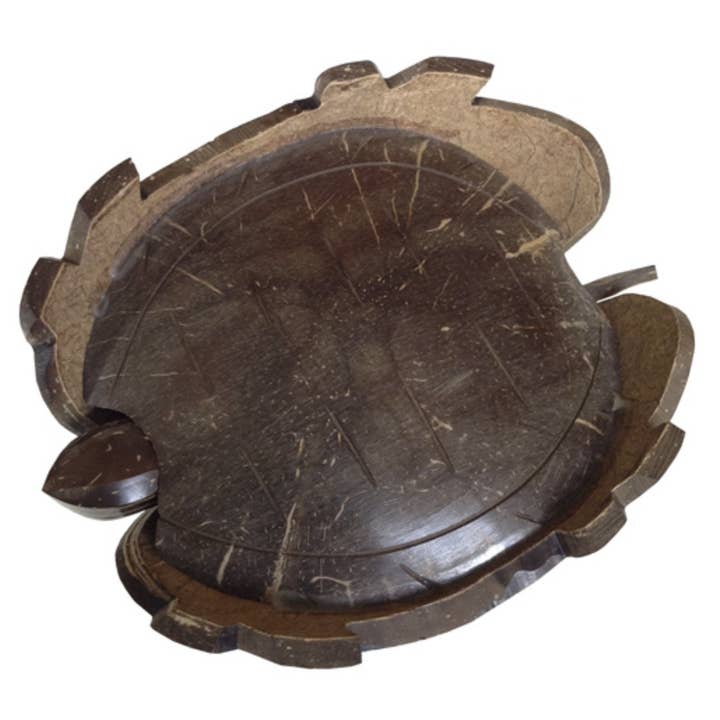 One World Projects - Vente Sculpture - Sculpture de tête branlante de tortue en noix de coco1