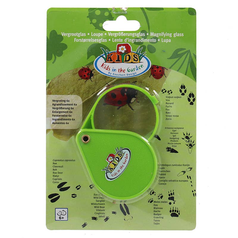 Esschert Design USA - Wholesale Magnifying Glass - Children's Magnifying Glass, Green3